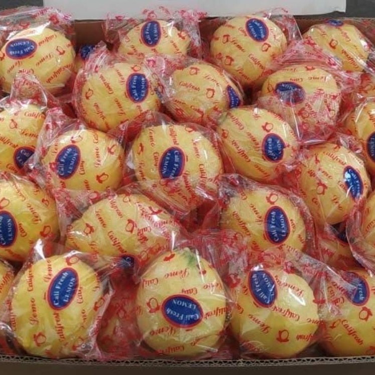 buah lemon RRC, 1 dus | Lazada Indonesia