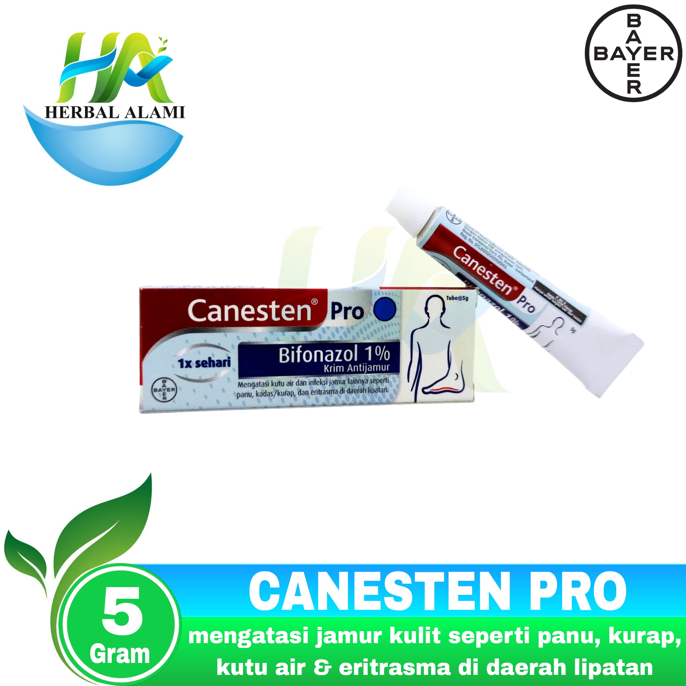 CANESTEN PRO CREAM Mengatasi Penyakit Kulit Lazada Indonesia