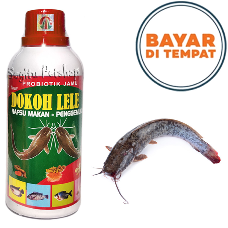 Vitamin Ikan Dokoh Lele Jumbo Penggemuk Perikanan Ml Lazada Indonesia