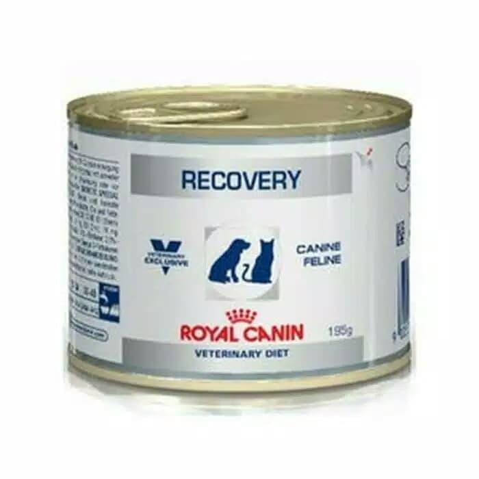 Rc Royal Canin Recovery Lazada Indonesia