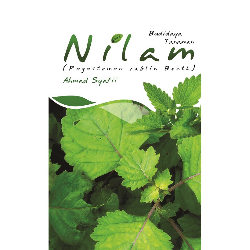 Nilam (Pogostemon cablin): Harta Karun Herbal Indonesia, Sumber Minyak Atsiri Berharga dan Aromaterapi yang Menenangkan