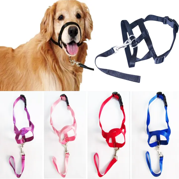 nose leash for dogs