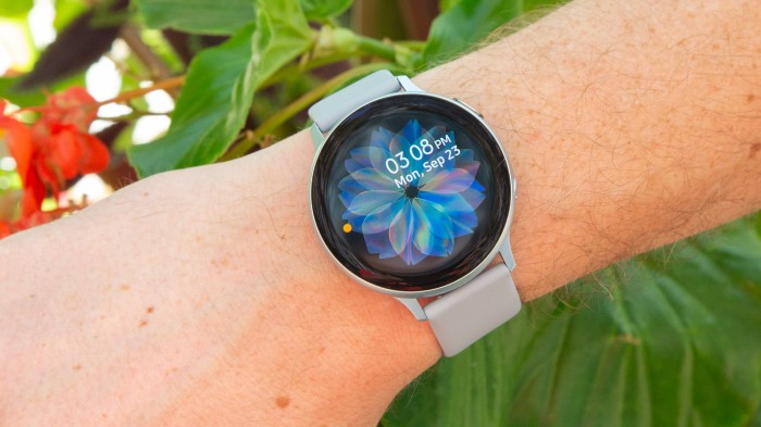Samsung Smartwatch Galaxy Watch Active 