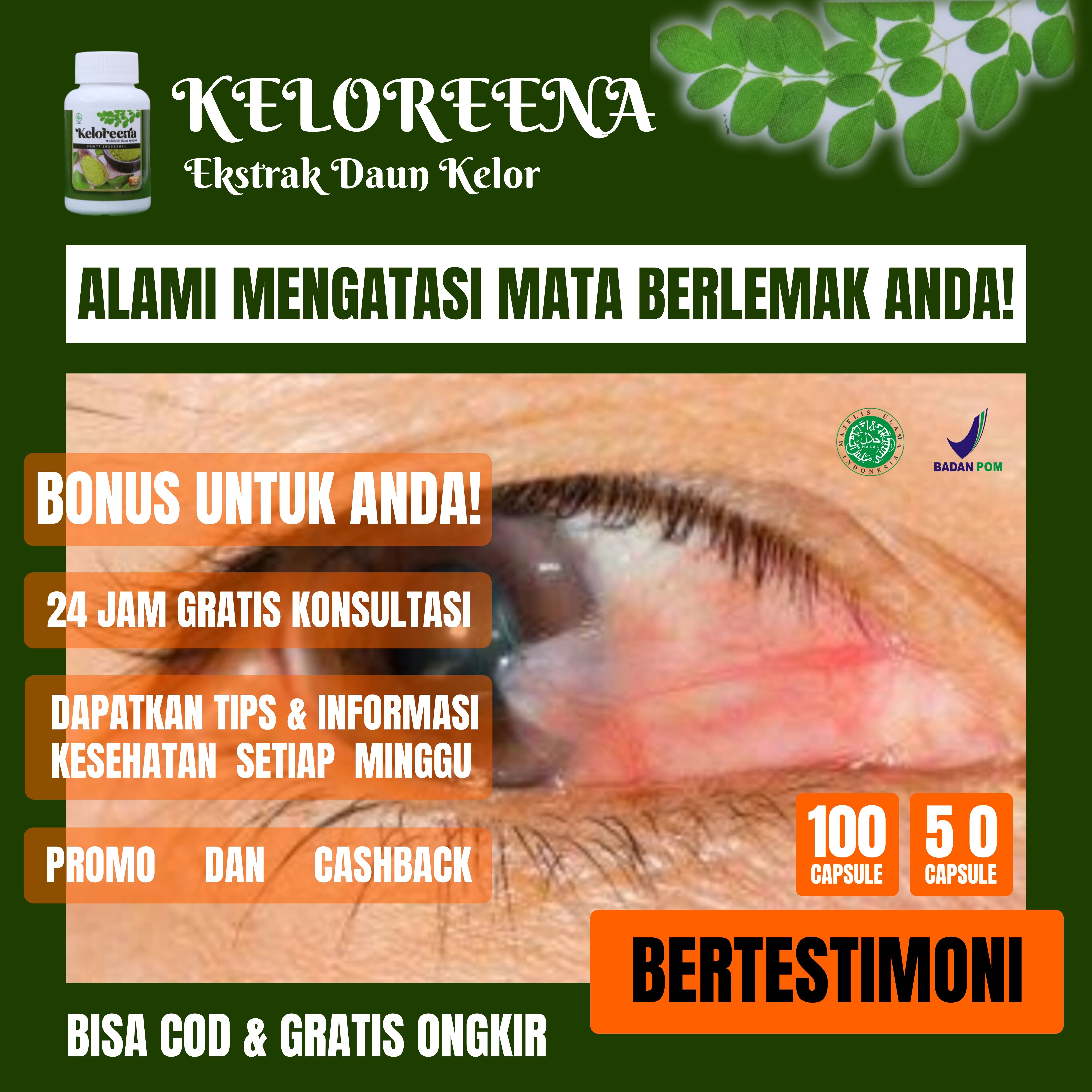 Keloreena Obat Mata Berlemak Herbal 50 Kapsul Ekstrak Daun Kelor Asli Lazada Indonesia