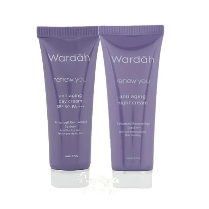 renew you anti aging day cream