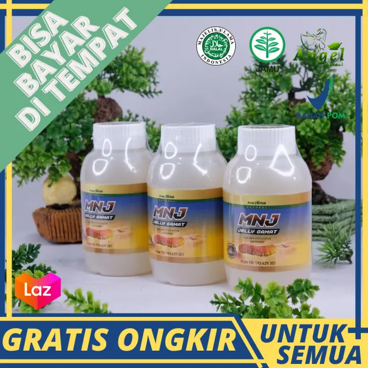 Obat Asam Lambung Asam Lambung Naik Gerd Maag Maag Kronis Nyeri Ulu Hati Tukak Lambung Infeksi