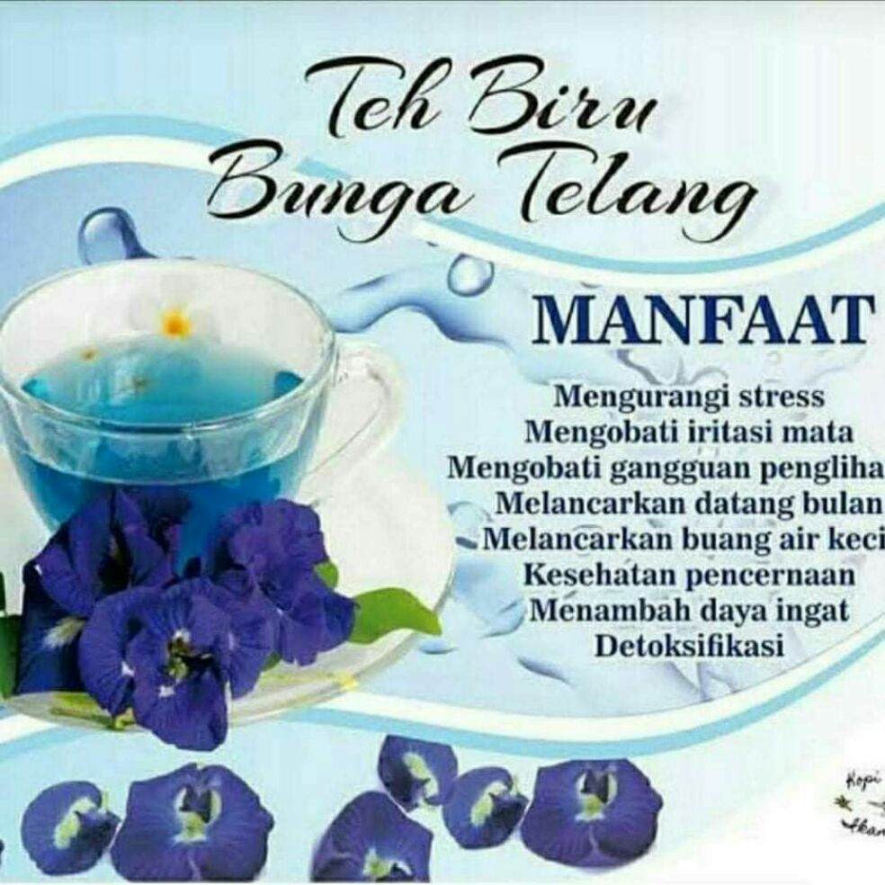 Teh Bunga Telang Teh Biru Membeli Jualan Online Kapsul Teh Dengan Harga Murah Lazada Indonesia