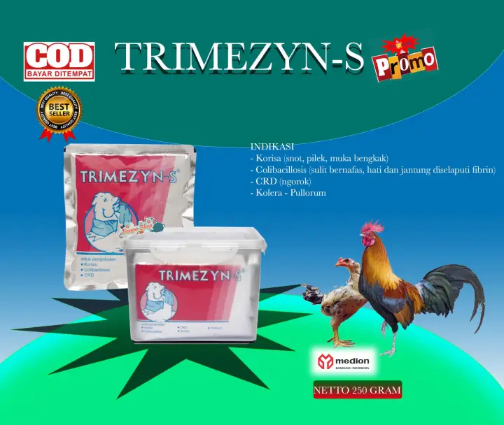 Mengatasi Penyakit Snot Crd Ngorok Dan Gejala Tetelo Pada Ayam Youtube Ayam Penyakit