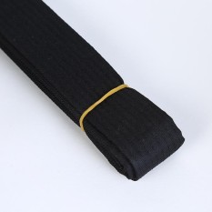 2.8 M Judo Taekwondo Karate Tai Chi Pita Warna-warni Belt Fashion Aksesori Solid Rank Karate Seni Bela Diri dan TaeKwonDo Sabuk (2.8 M/Hitam) -Intl