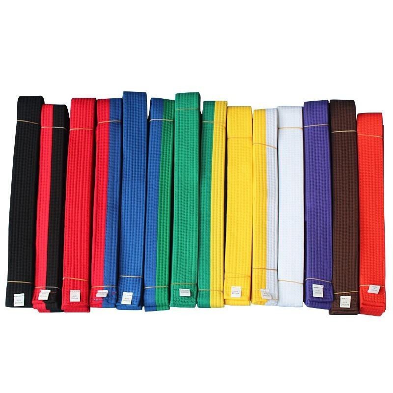 2.8 M Judo Taekwondo Karate Tai Chi Pita Warna-warni Belt Fashion Aksesori Solid Rank Karate Seni Bela Diri dan TaeKwonDo Sabuk (2.8 M/Ungu) -Intl