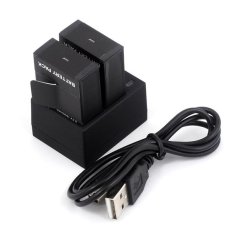 2 Pcs 3.7 V 1600 MAh Dual USB Charger untuk GOPRO HERO 1 2 3 3 +-Intl