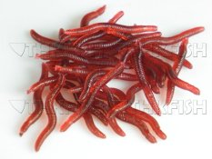80pcs Earthworm Red Worms Soft Fishing Lure Baits