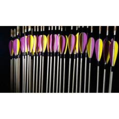 Arrow Anak Panah Bambu Petung 8Mm Fletching Spon Murah Kuat (Lusinan) - C7C96A