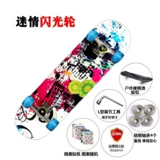 Pemula Profesional Maple Empat Roda Skateboard, Road Skateboard, Pria dan Wanita Dewasa Ganda Lengan Skateboard & Nbsp; -Intl