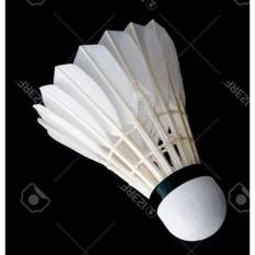 Ecer Kok Murah Standart Bwf Bulutangkis Badminton - 6De6a7