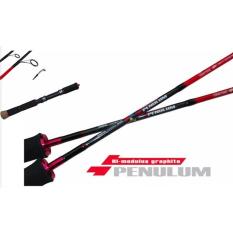 Eupro Penulum Spinning Rod Pls 502 - 8-17Lb - 7799Eb