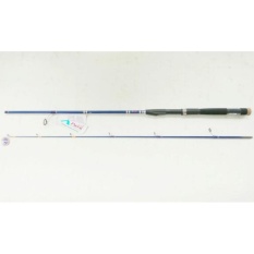 JORAN PANCING X PUYU STIK 562 165 CM CARBON