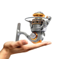 Pocket Fishing Reel 12+1 Ball Bearing Left/Right Mini Spinning Reel with Folding Metal Rocker DC150 - intl