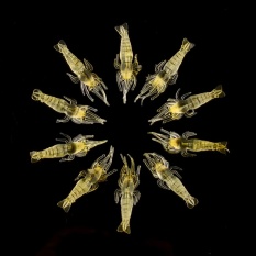 Kualitas Banyak 10x Lembut Simulasi Udang Udang Umpan Fishing Lure Trout 4 Cm Kualitas Tinggi-Intl