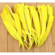 Sayap Panah Bulu Kalkun Import 4 - E59776