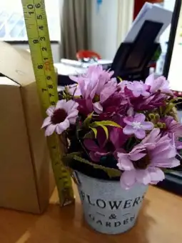 100+ Gambar Bunga Hiasan Rumah Paling Mekar 100+ Gambar Bunga Hiasan Rumah Paling Mekar