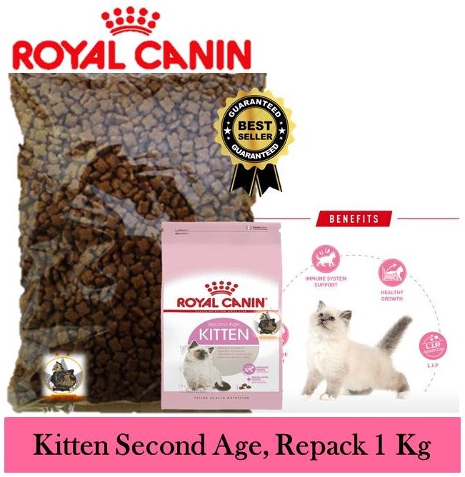 Royal hot sale canin harga