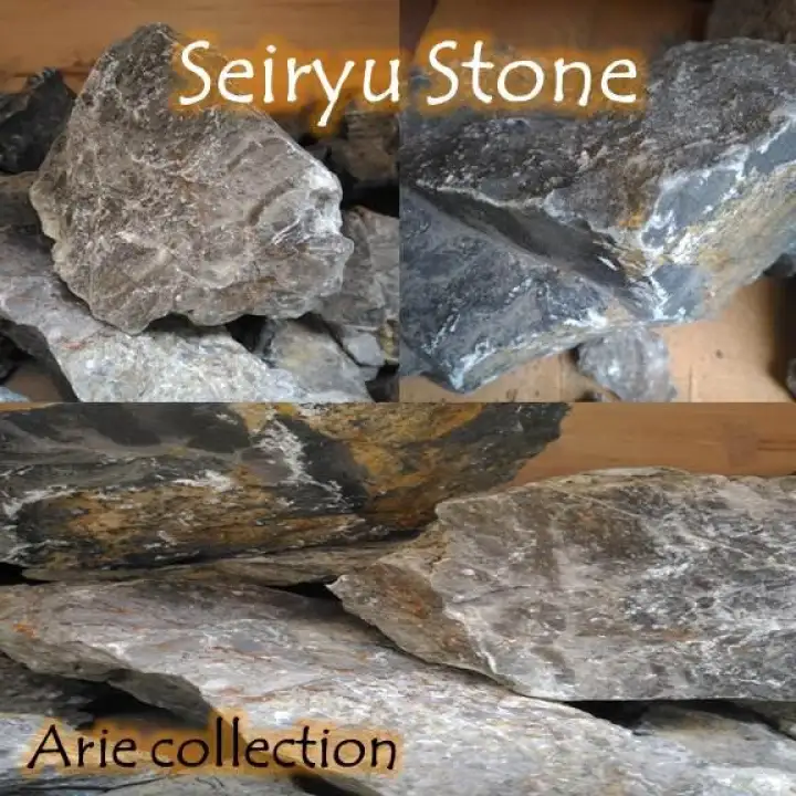 Batu Aquascape Seiryu Stone 1kg Membeli Jualan Online Dekorasi