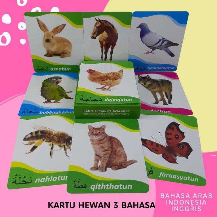 Arab bahasa serangga dalam Kosakata :
