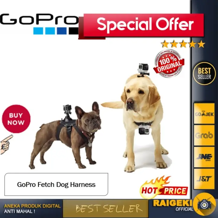 Dog harness for tripods Clearance