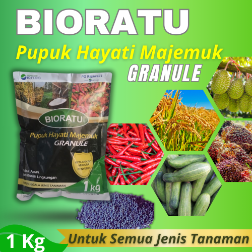 Pupuk Hayati Granule Tebar Siram Kocor Untuk Tanaman Padi Sawah / Pupuk ...