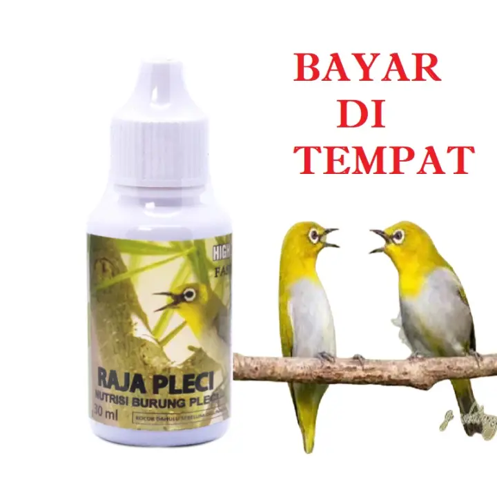 Vitamin Burung Pleci Gacor Raja Pleci Lazada Indonesia