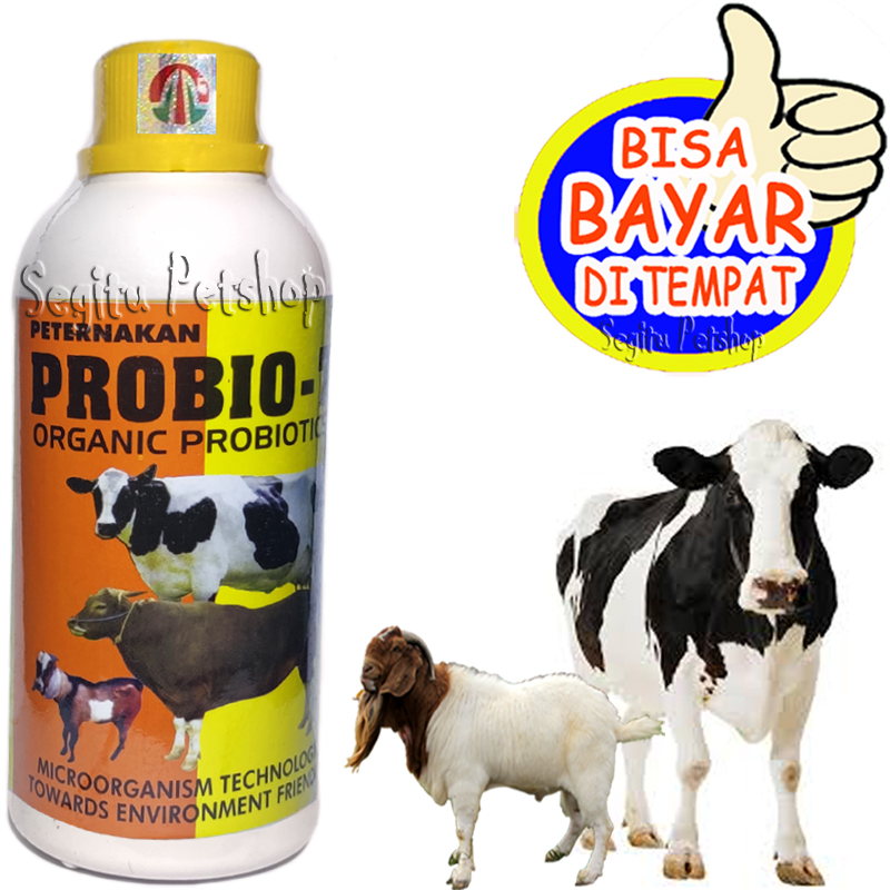 Probiotik Sapi Kambing Tambah Berat Badan Penggemuk Penambah Nafsu ...