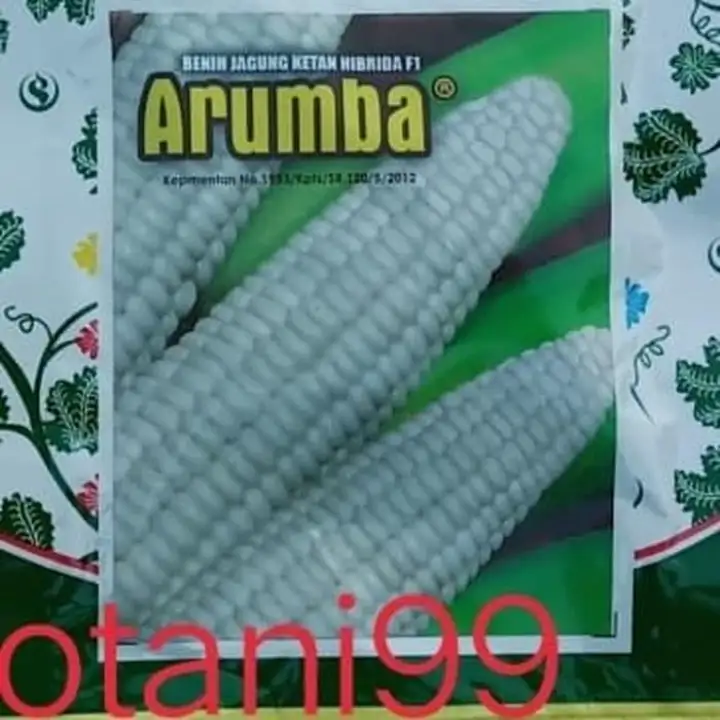 Benih Jagung Pulut Arumba F1 100 Butir Jagung Putih Pulut Manis Hibrida Kemasan Kecil Smallpack Dari Benih Pertiwi Lazada Indonesia Benih Jagung Pulut Arumba F1 100 Butir Jagung Putih Pulut Manis Hibrida Kemasan Kecil Smallpack Dari Benih Pertiwi Lazada Indonesia