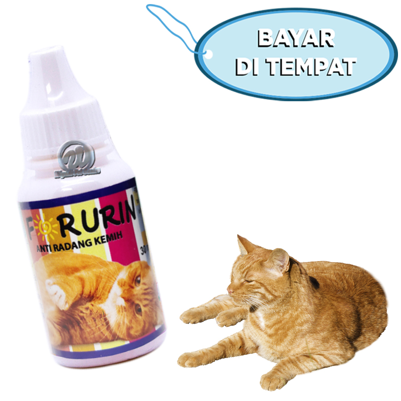 For Urin High Concentrated Obat Susah Kencing Radang Kemih Urinary Kucing Lazada Indonesia