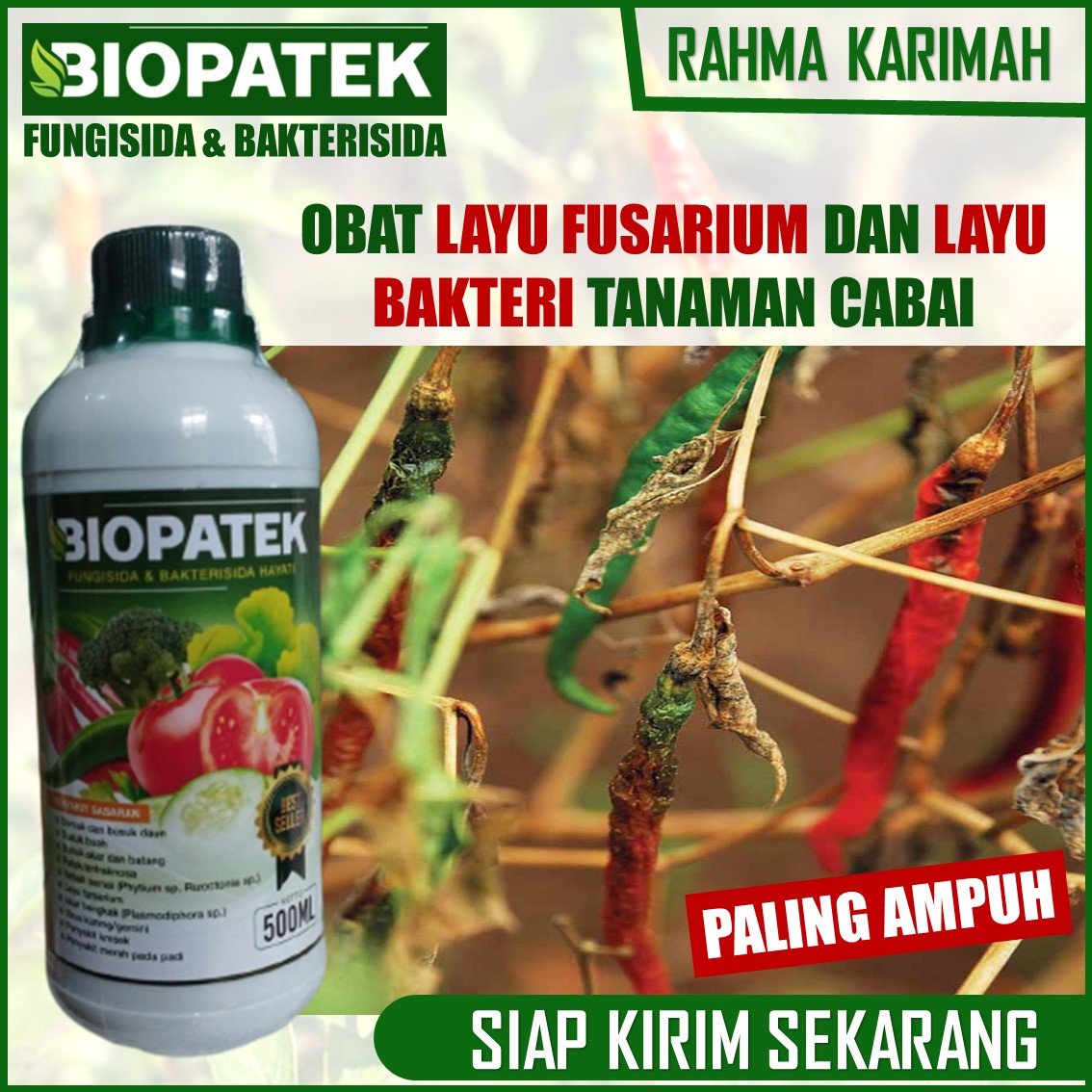 Biopatek Ml Obat Layu Keriting Daun Dan Busuk Buah Cabe Pupuk