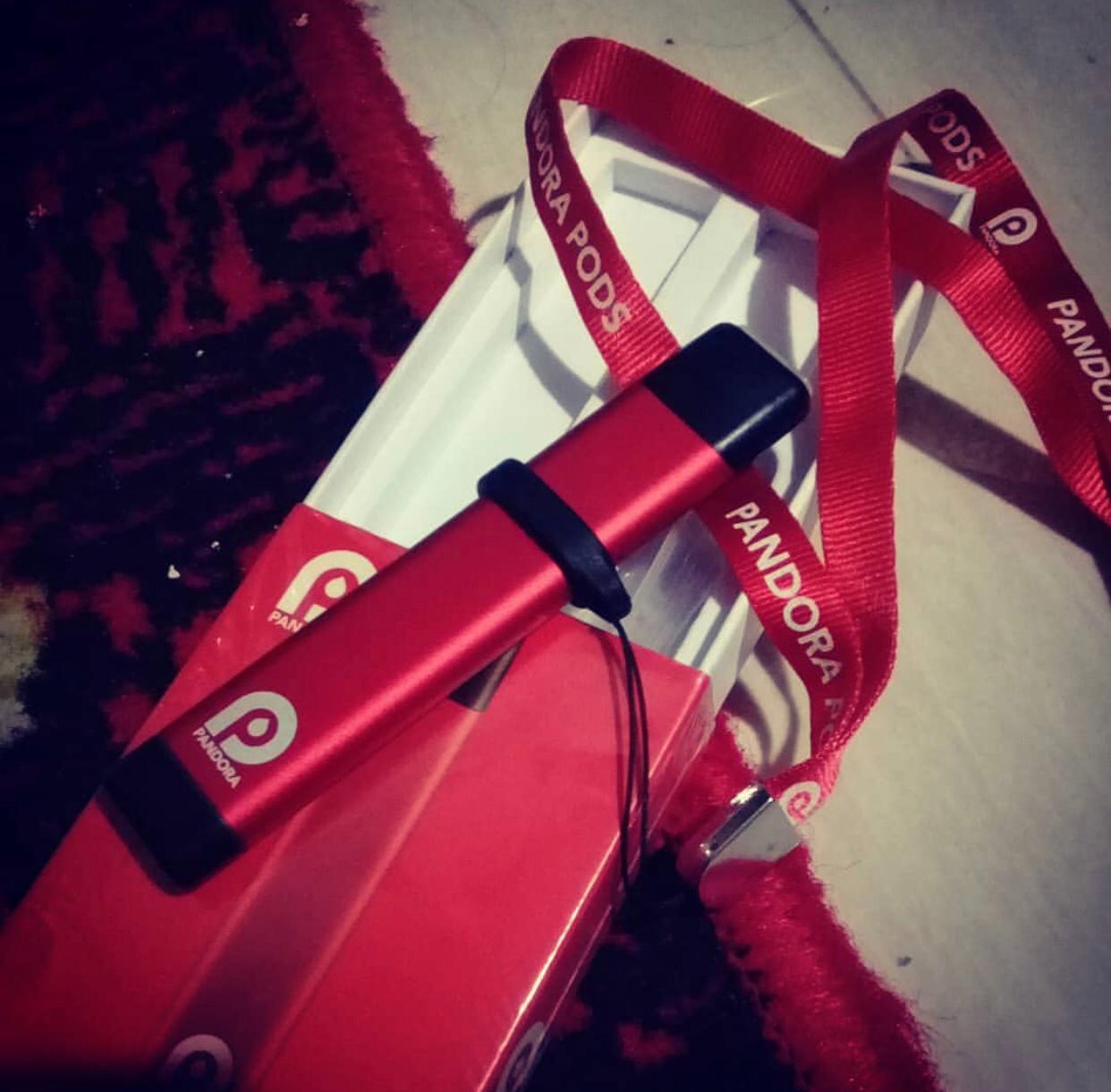 Pandora Pods Lifetime Warranty Pod Pandora POD Original Bergaransi