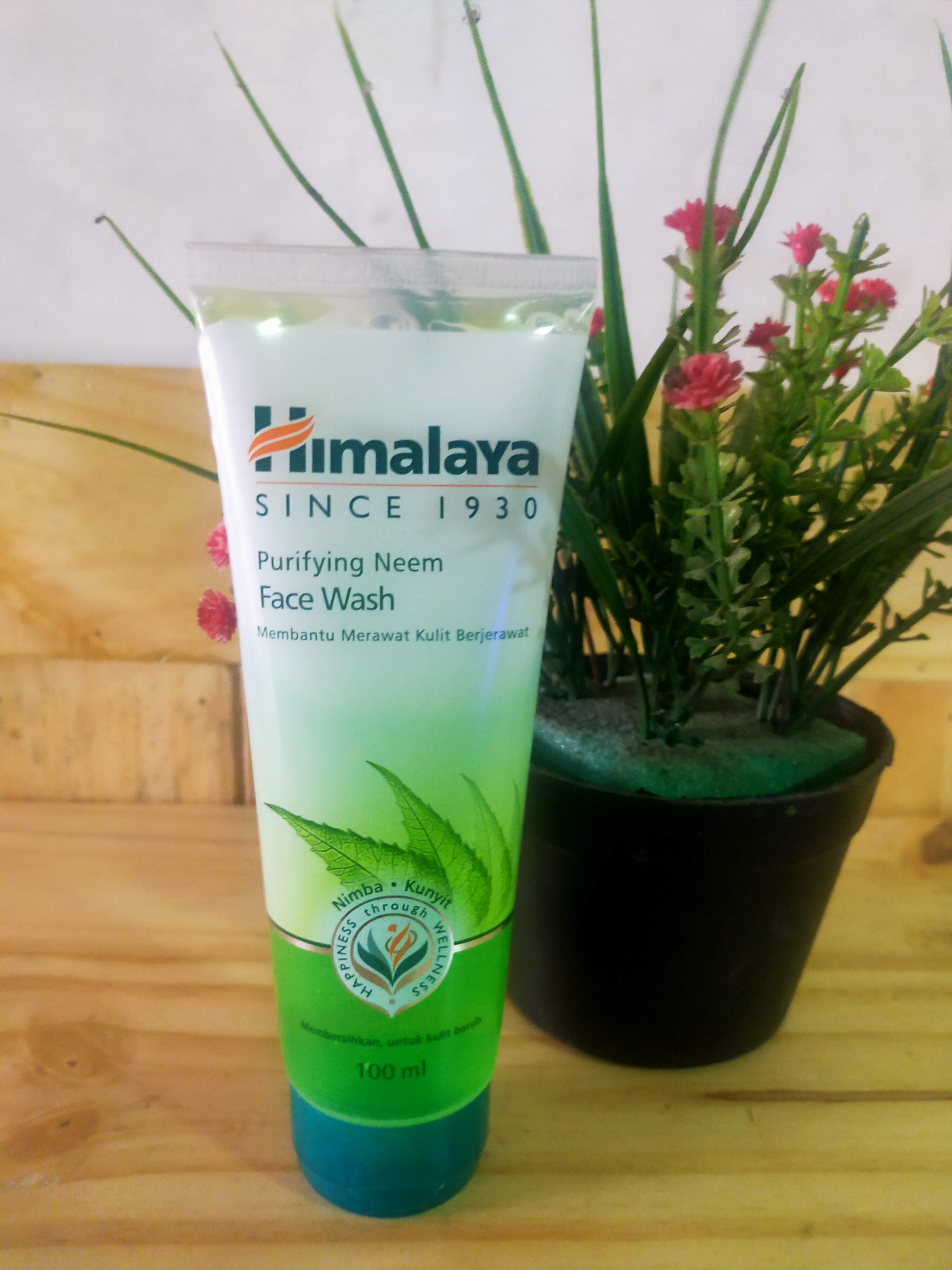 Ulasan Pembersih Himalaya Neem – Patutkah Anda Mencuba Atau Mengelaknya?