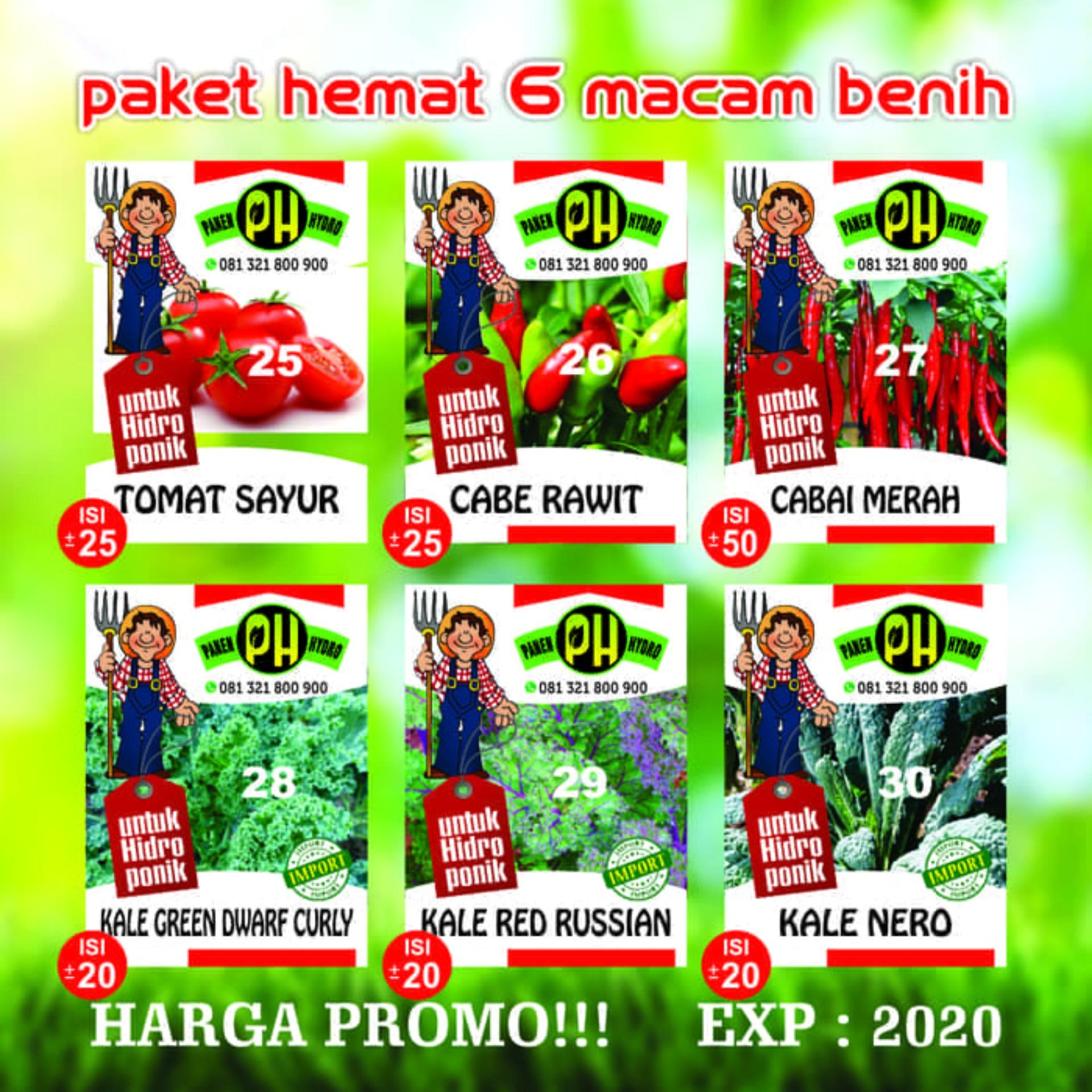 6 BENIH BIBIT HIDROPONIK : TOMAT SAYUR, CABE RAWIT, CABAI MERAH DWARF CURLY, KALE GREEN, KALE RED, KALE NERO