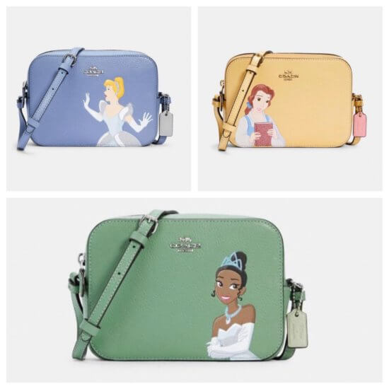 coach princess purse