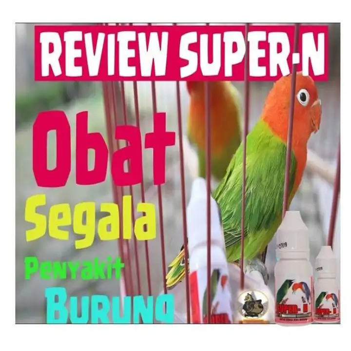 Toko Semar Super N Super Kicau Obat Burung Sakit Infeksi