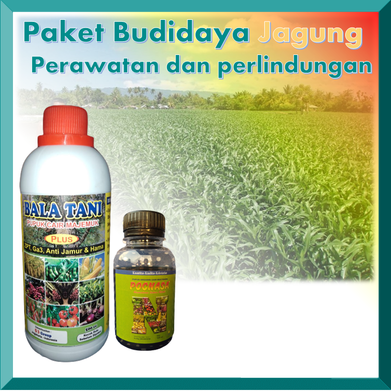 Paket Perawatan Dan Perlindungan Tanaman Jagung / Jagung/ Pupuk Untuk ...