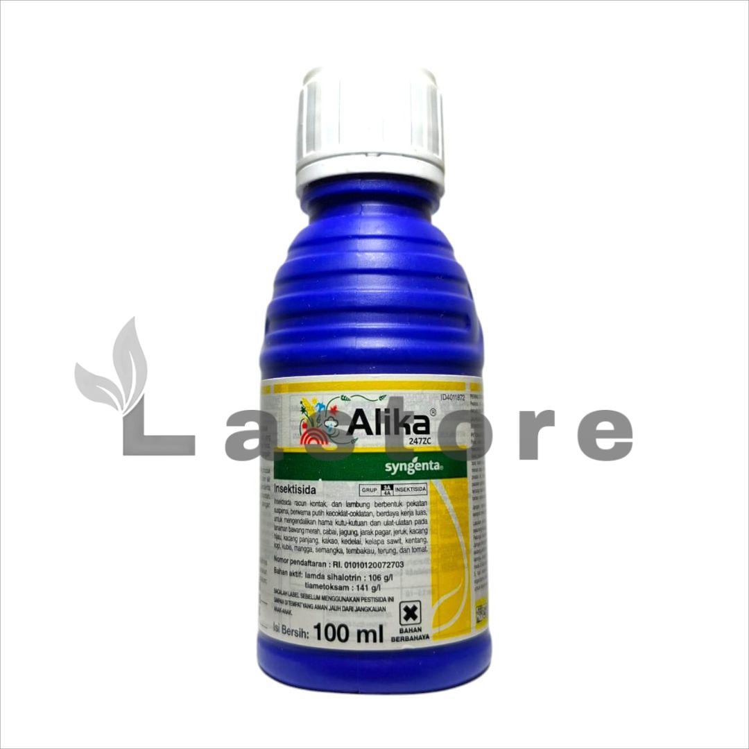 Sasha Blonda bilan porno filmlar