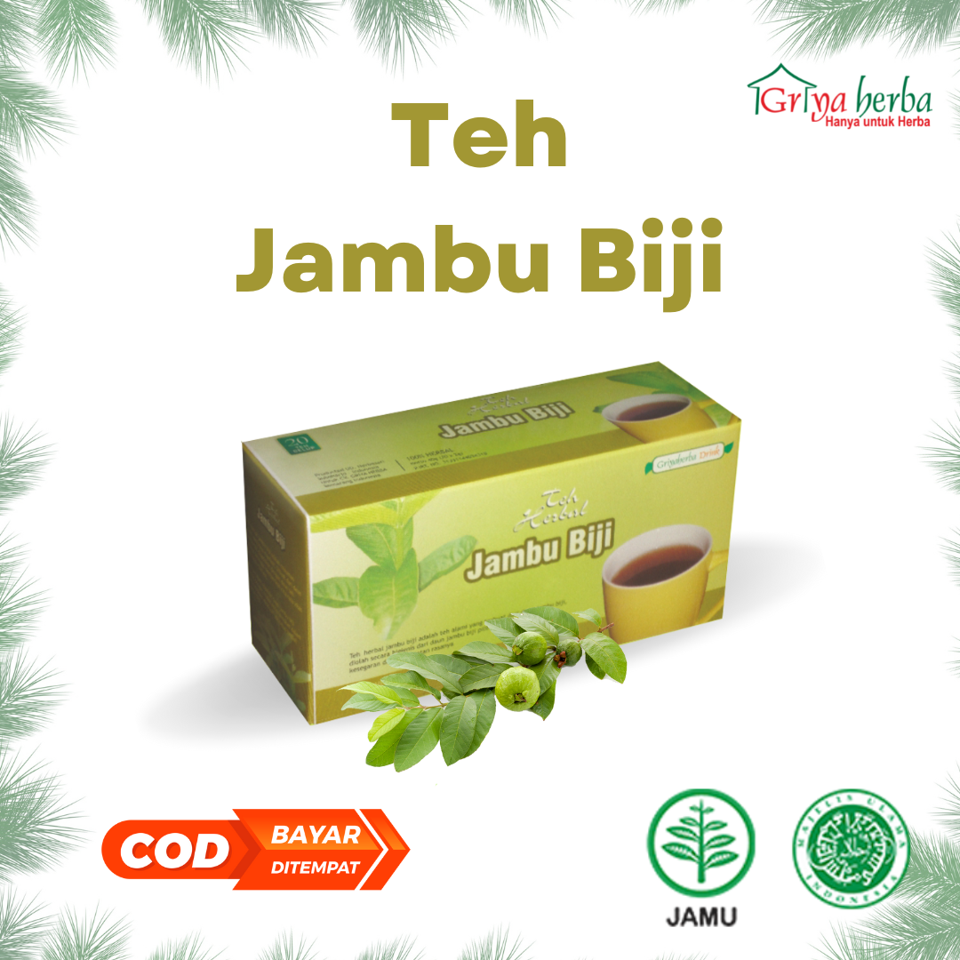 Griya Herba Teh Daun Jambu Biji Teh Celup Herbal Membantu Masalah Diare ...