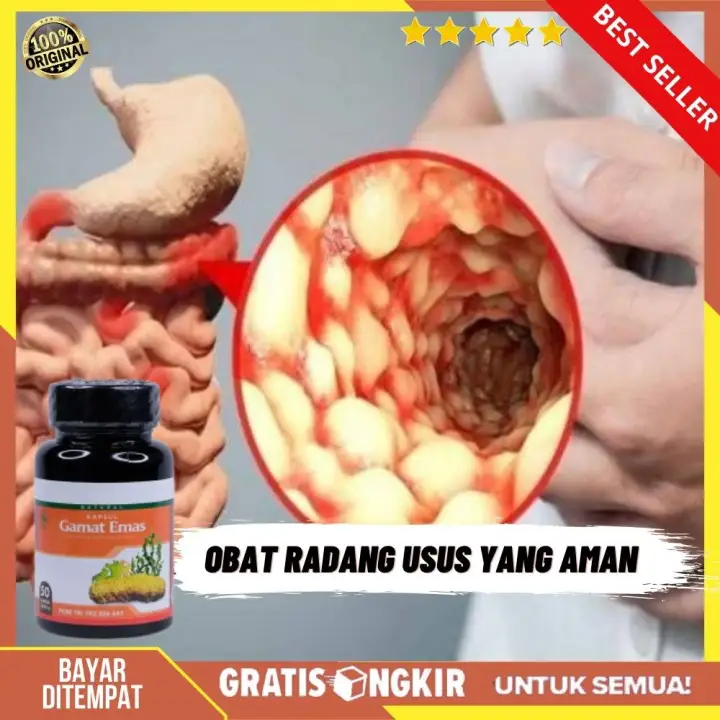 Cod Kapsul Gamat Emas Obat Radang Usus Yang Aman Obat Luka Usus Herbal Obat Usus