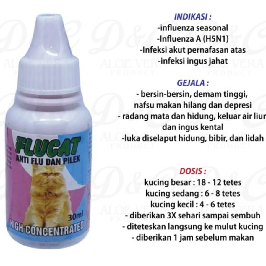 Jual obat flu kucing flucat Terbaru  Lazada.co.id