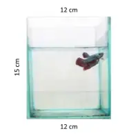 Akuarium Mini Aquarium Ikan Cupang Dan Ikan Hias Kecil Lazada