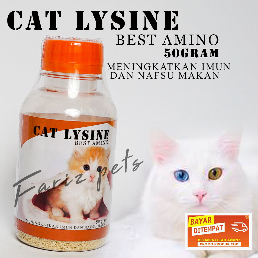 Cat lysine Vitamin Kucing cat Lysine Meningkatkan Imun Dan Nafsu Makan