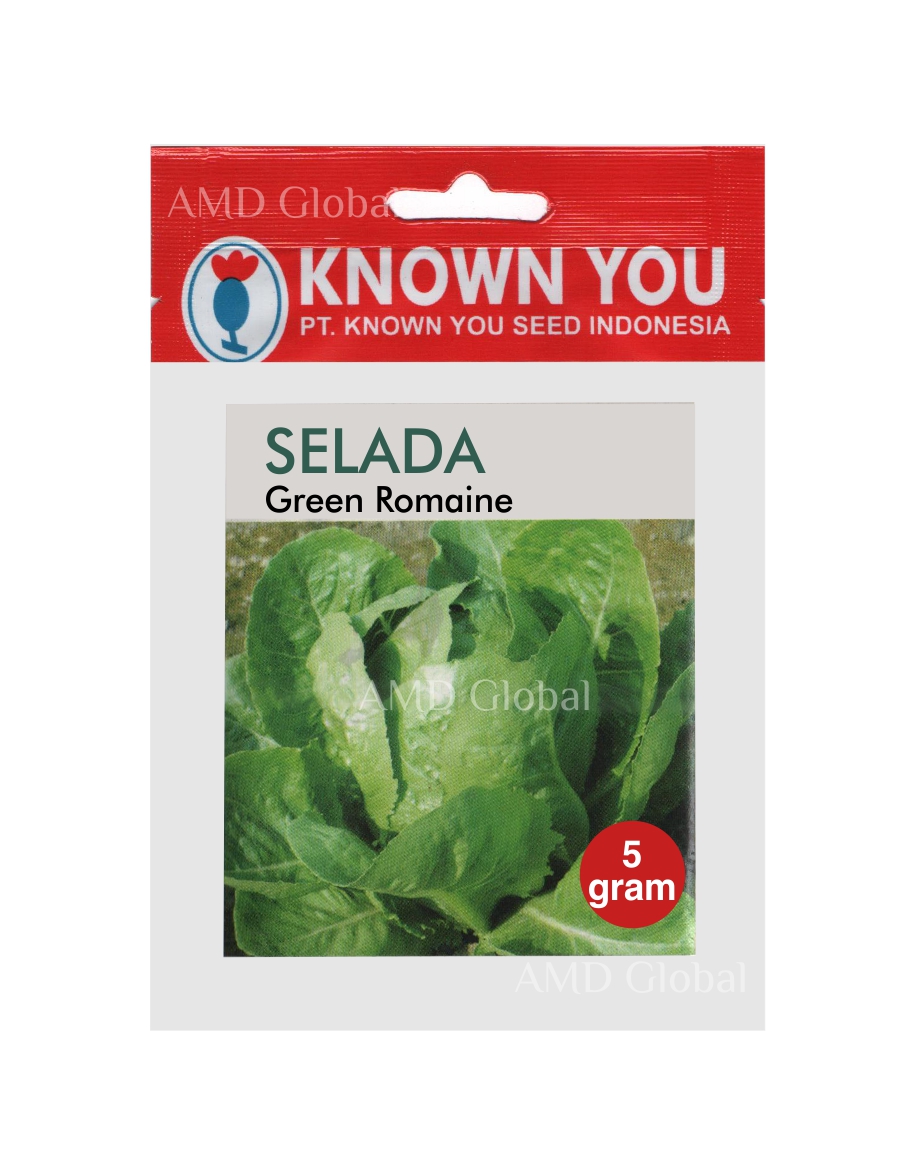 Benih Selada Butterhead Green Romaine Known You Seed Isi 5 Gram