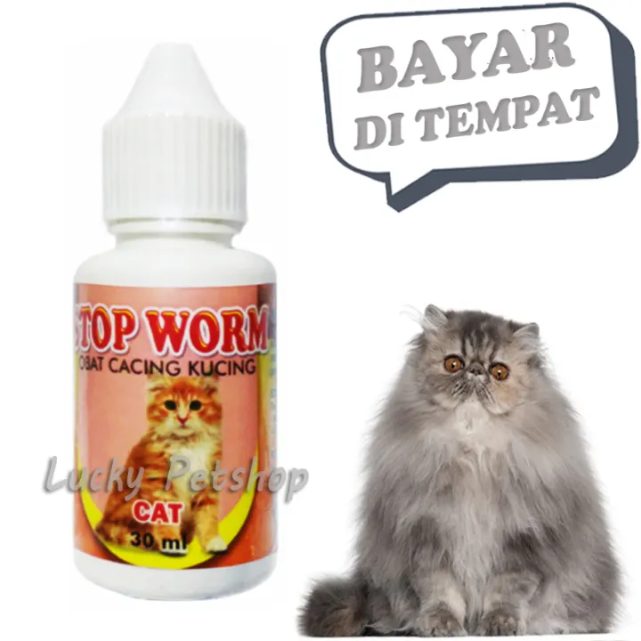 Jual Obat Cacing Untuk Kucing Drontal Cat Tablet Tablets Makassar Hobi