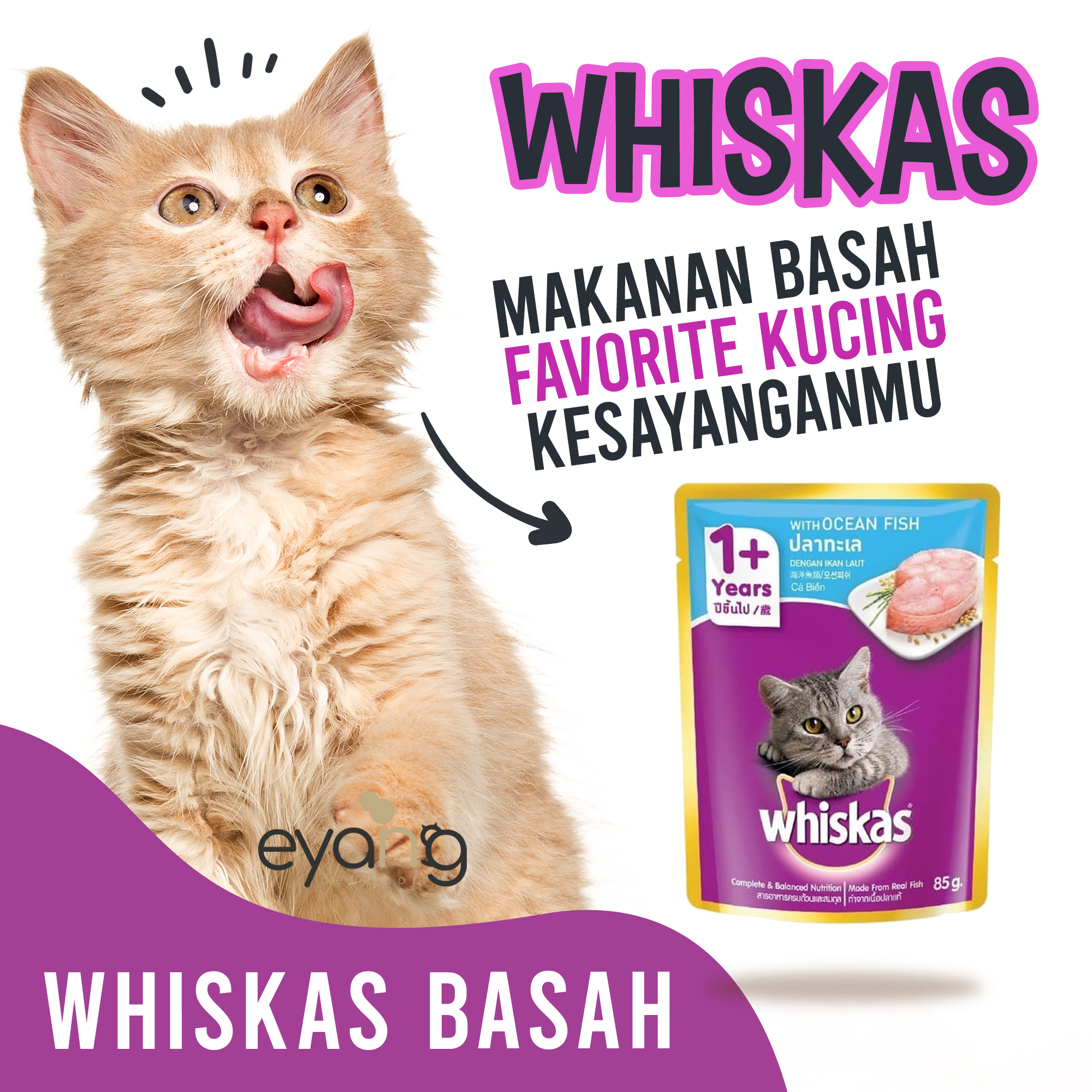 Jual vitamin kucing whiskas Terbaru  Lazada.co.id